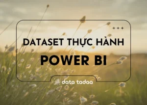 dataset power bi - data tadaa